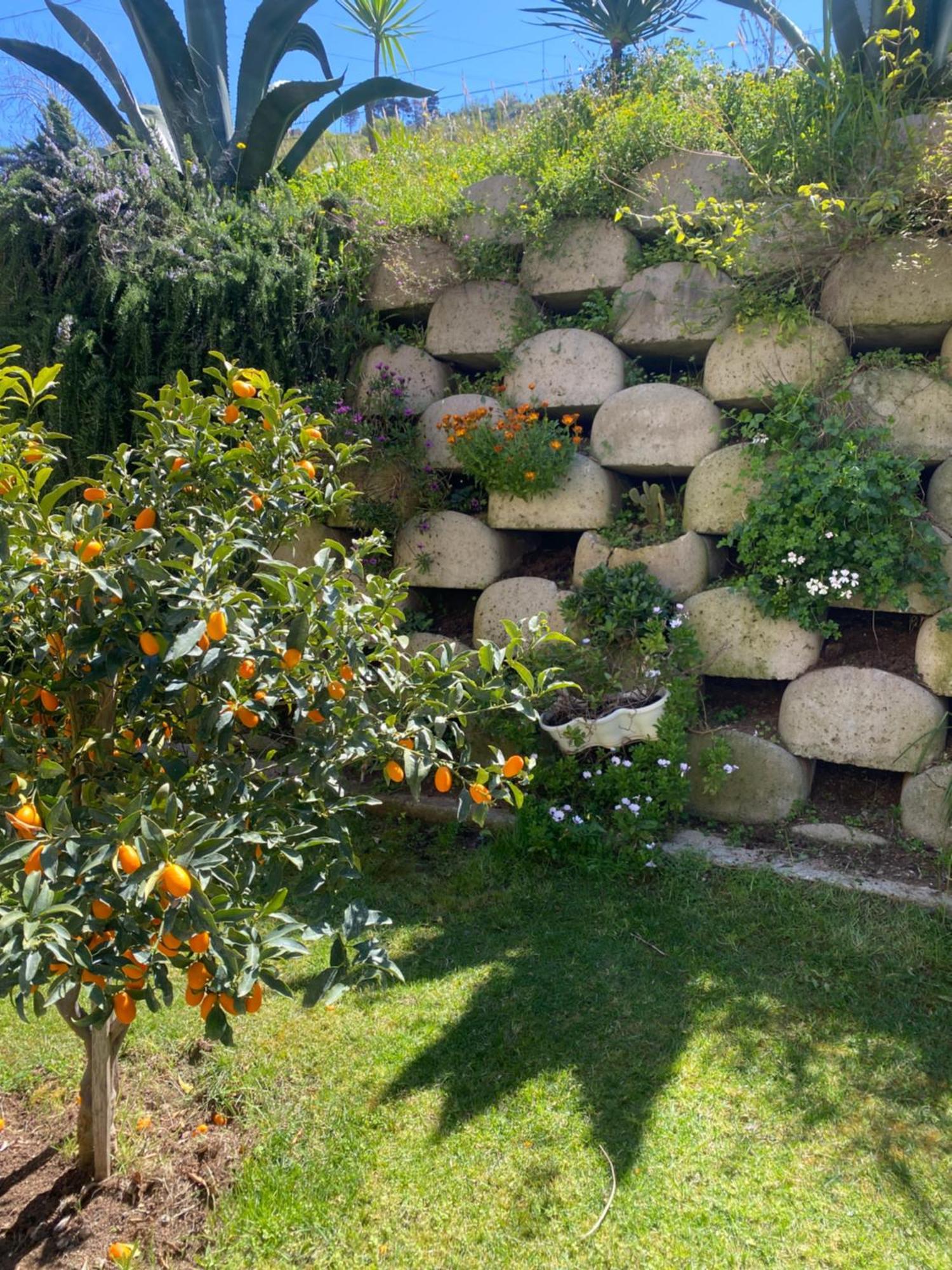 Residenza Roma 3* Tropea