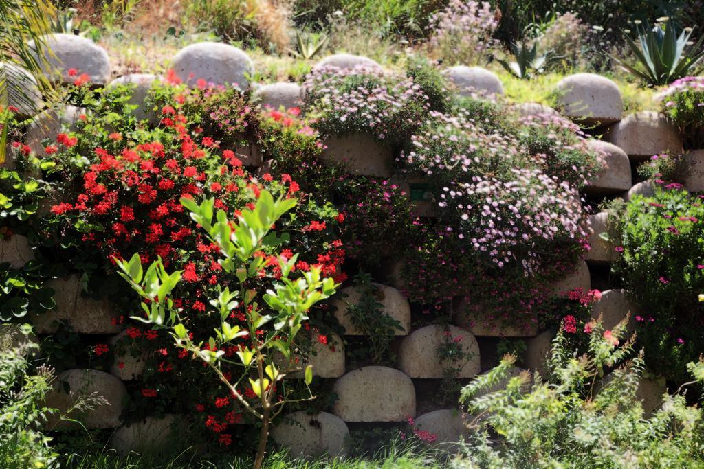 Bed & Breakfast Residenza Roma